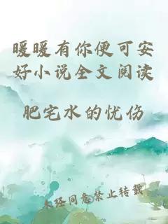 暖暖有你便可安好小說全文閱讀