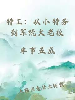 特工：從小特務(wù)到軍統(tǒng)大老板