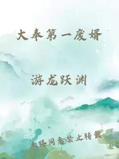 大奉第一廢婿