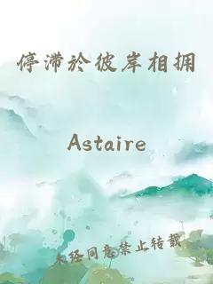 停滯於彼岸相擁