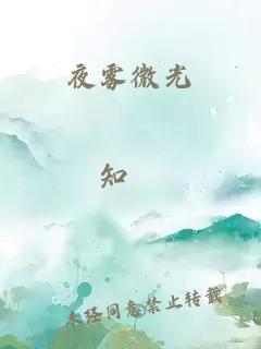 夜霧微光