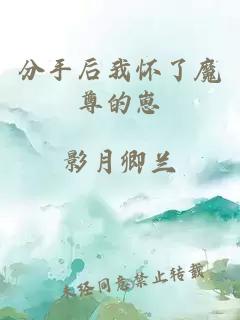 分手后我懷了魔尊的崽