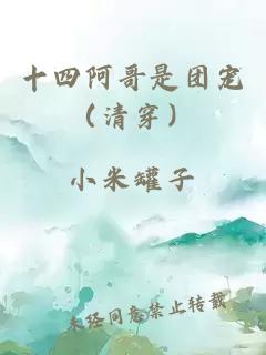 十四阿哥是團寵（清穿）