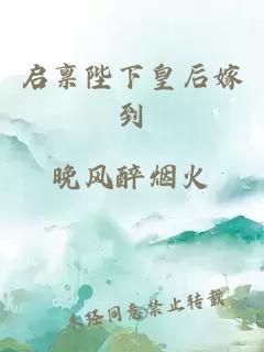 啟稟陛下皇后嫁到