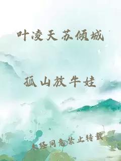 葉凌天蘇傾城