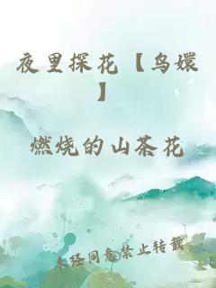 夜里探花【鳥嬛】