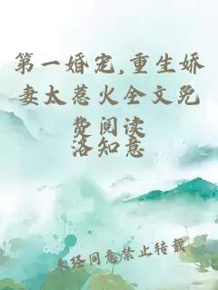 第一婚寵,重生嬌妻太惹火全文免費閱讀