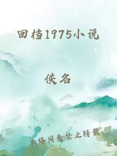 回檔1975小說